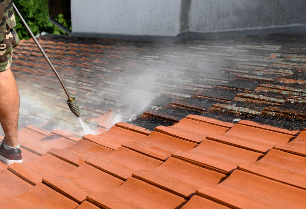 Best Affordable Power Washing  in Hodgenville, KY
